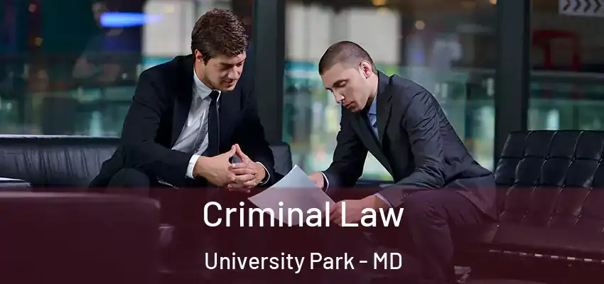 Criminal Law University Park - MD