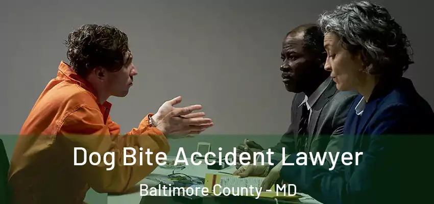  Dog Bite Accident Lawyer Baltimore County - MD