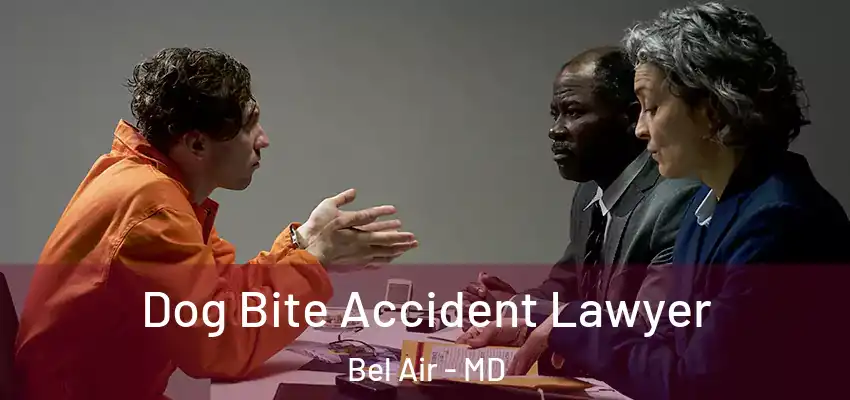  Dog Bite Accident Lawyer Bel Air - MD