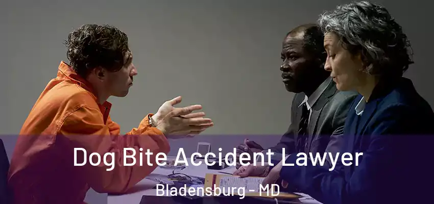  Dog Bite Accident Lawyer Bladensburg - MD