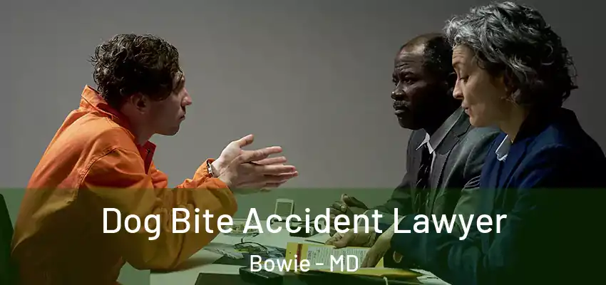  Dog Bite Accident Lawyer Bowie - MD