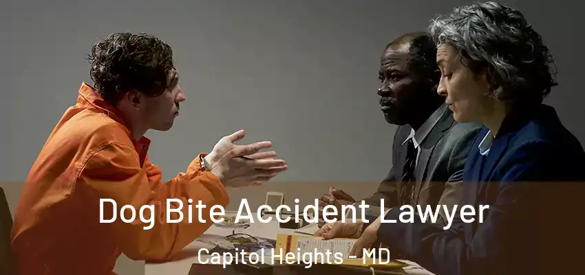  Dog Bite Accident Lawyer Capitol Heights - MD