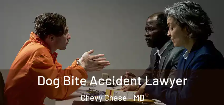  Dog Bite Accident Lawyer Chevy Chase - MD