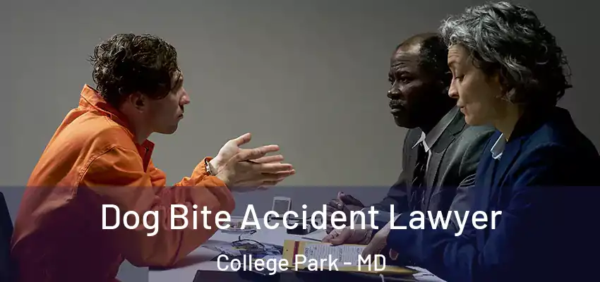  Dog Bite Accident Lawyer College Park - MD