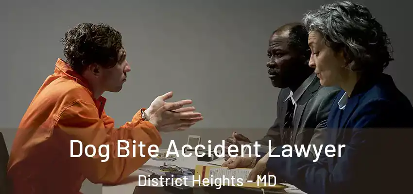  Dog Bite Accident Lawyer District Heights - MD