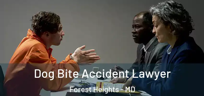  Dog Bite Accident Lawyer Forest Heights - MD