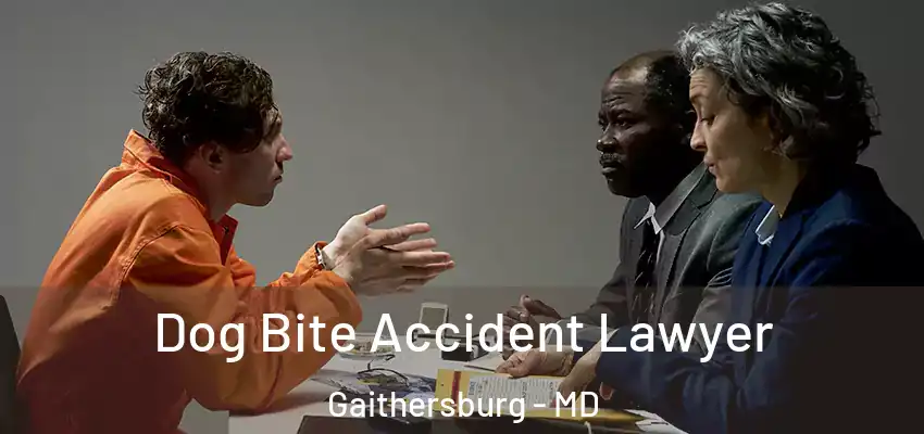  Dog Bite Accident Lawyer Gaithersburg - MD