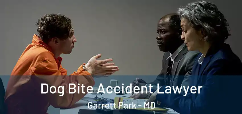  Dog Bite Accident Lawyer Garrett Park - MD