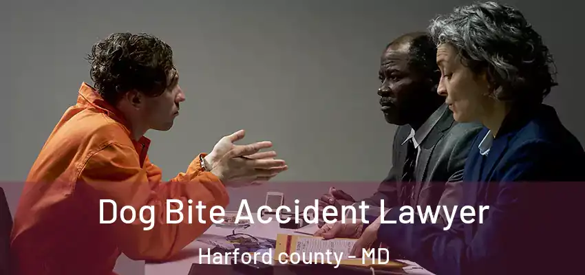  Dog Bite Accident Lawyer Harford County - MD