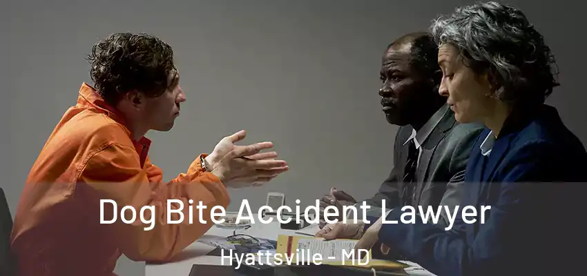  Dog Bite Accident Lawyer Hyattsville - MD