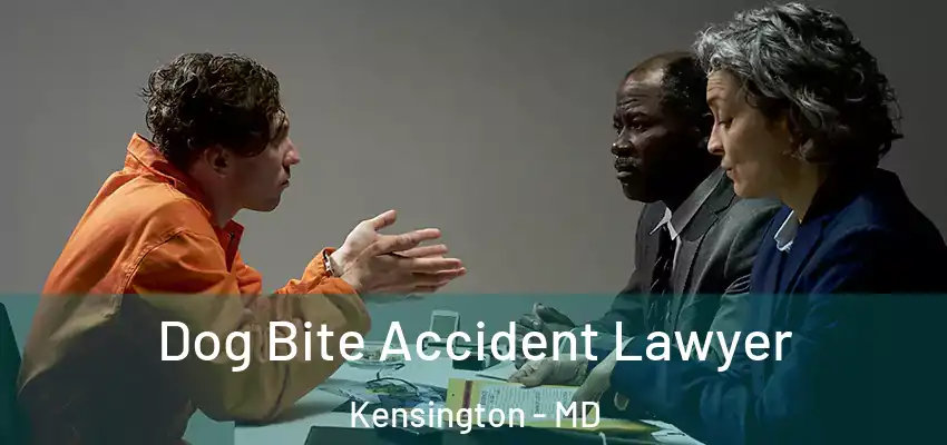  Dog Bite Accident Lawyer Kensington - MD