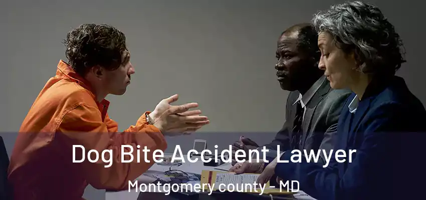  Dog Bite Accident Lawyer Montgomery County - MD