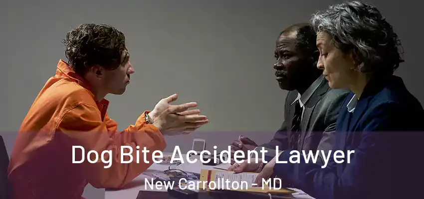 Dog Bite Accident Lawyer New Carrollton - MD