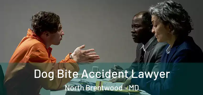 Dog Bite Accident Lawyer North Brentwood - MD
