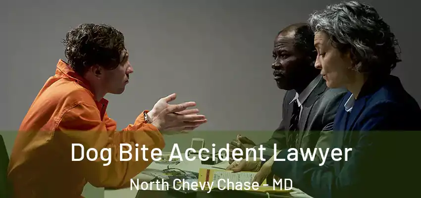  Dog Bite Accident Lawyer North Chevy Chase - MD