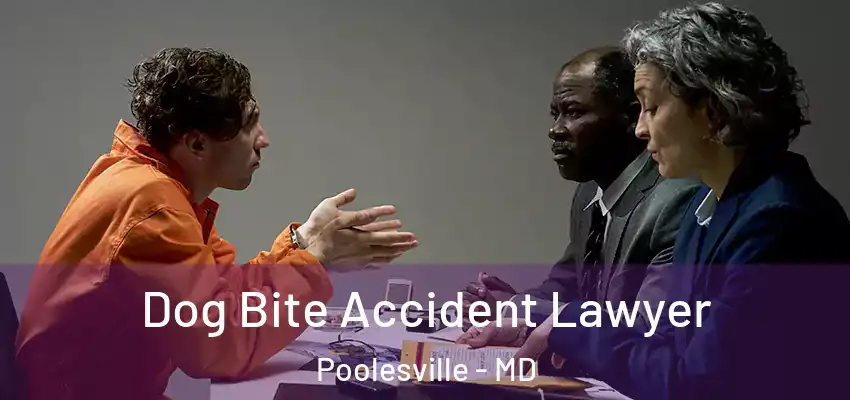 Dog Bite Accident Lawyer Poolesville - MD