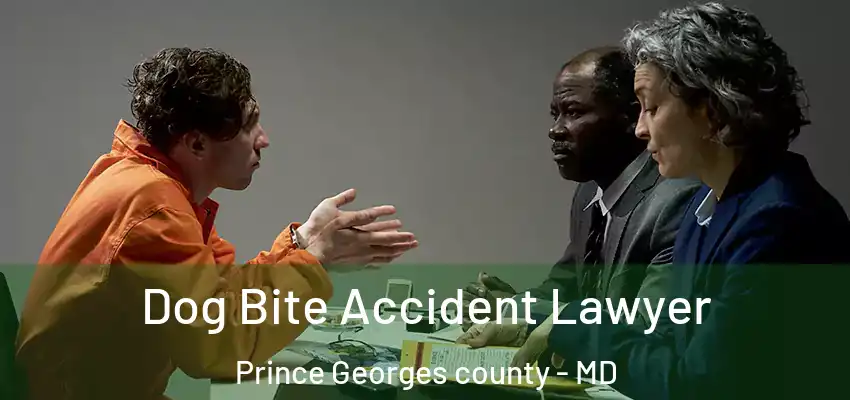  Dog Bite Accident Lawyer Prince Georges County - MD