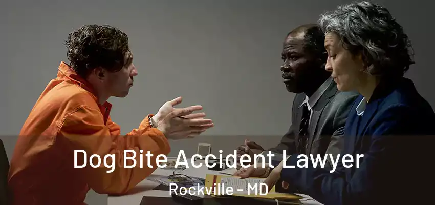 Dog Bite Accident Lawyer Rockville - MD