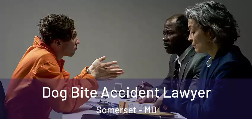  Dog Bite Accident Lawyer Somerset - MD