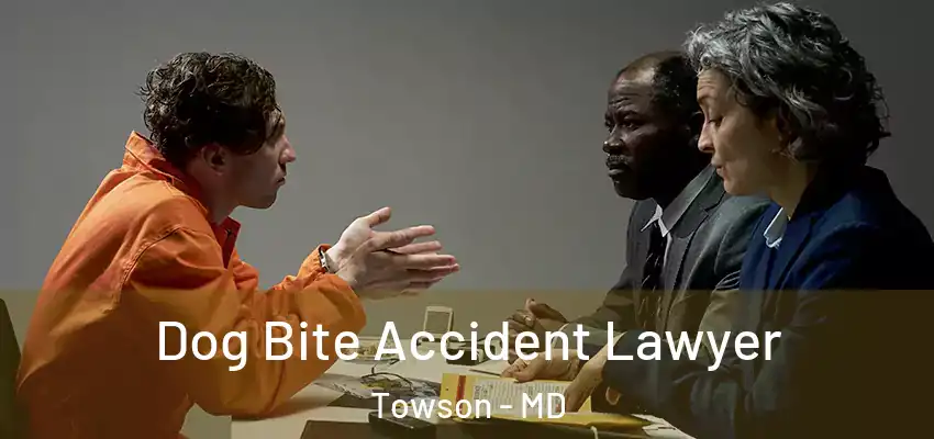 Dog Bite Accident Lawyer Towson - MD