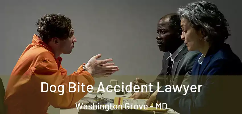  Dog Bite Accident Lawyer Washington Grove - MD