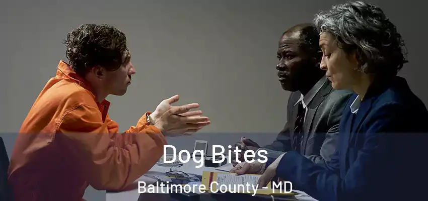 Dog Bites Baltimore County - MD