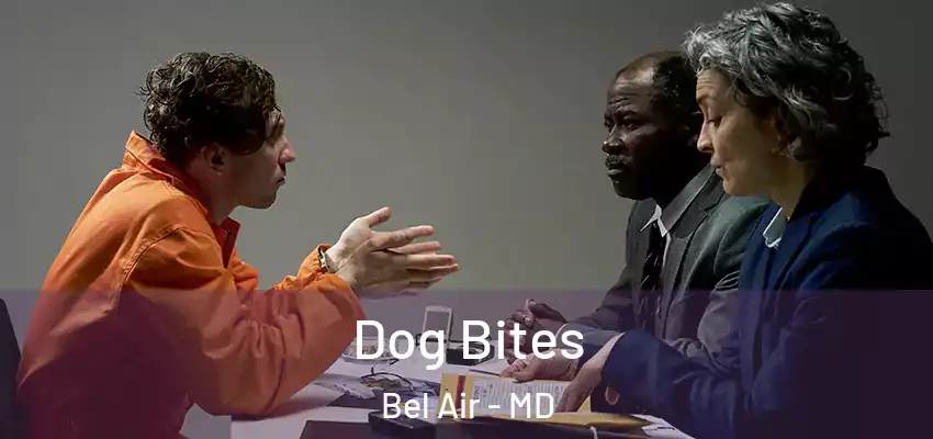Dog Bites Bel Air - MD