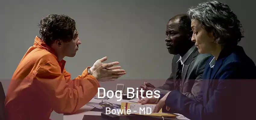 Dog Bites Bowie - MD