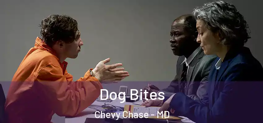  Dog Bites Chevy Chase - MD