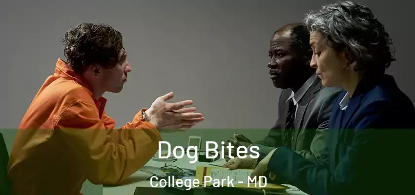 Dog Bites College Park - MD