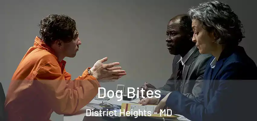 Dog Bites District Heights - MD