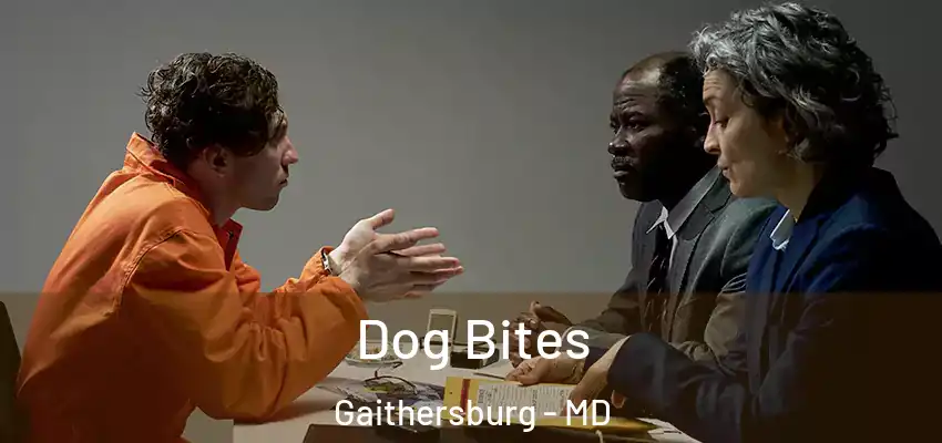 Dog Bites Gaithersburg - MD