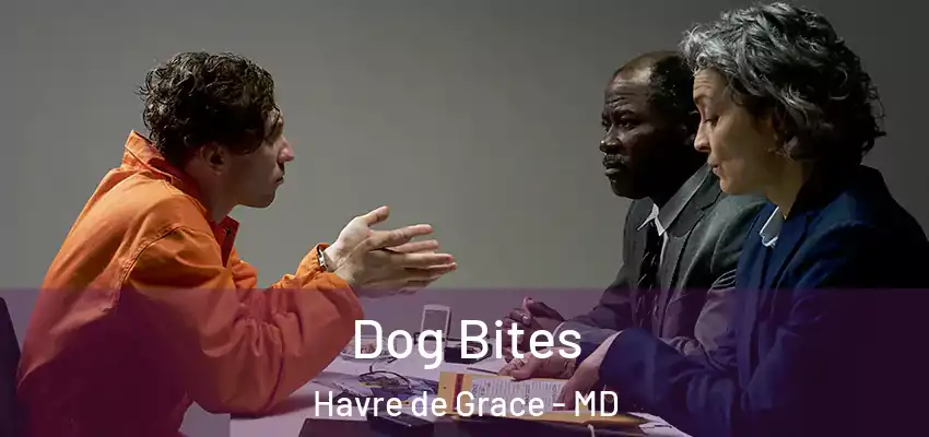 Dog Bites Havre de Grace - MD