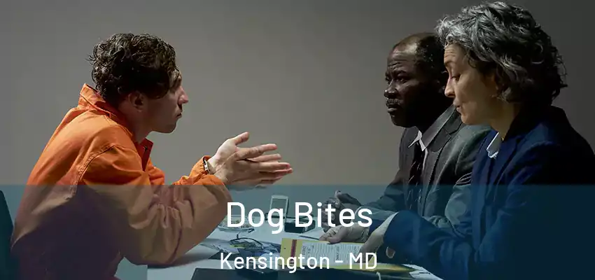 Dog Bites Kensington - MD