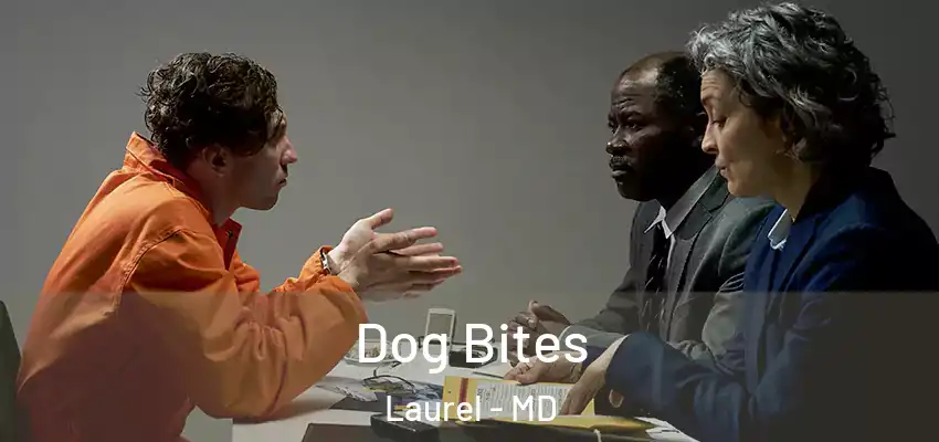 Dog Bites Laurel - MD