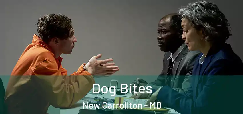 Dog Bites New Carrollton - MD