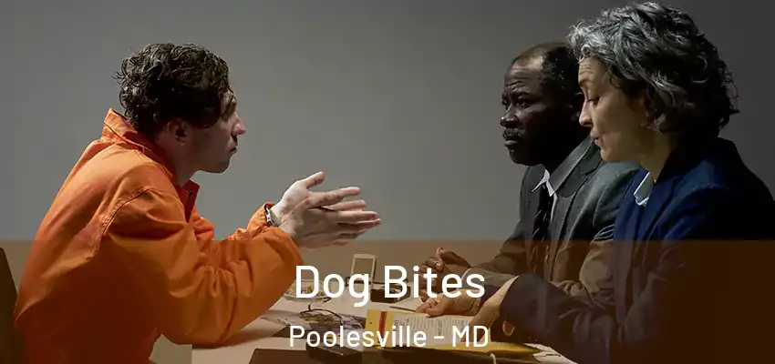 Dog Bites Poolesville - MD