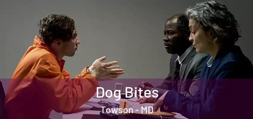  Dog Bites Towson - MD
