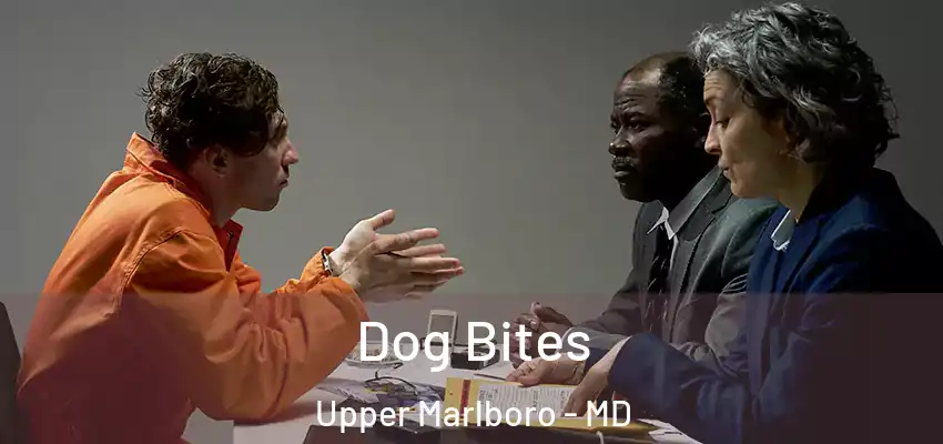 Dog Bites Upper Marlboro - MD
