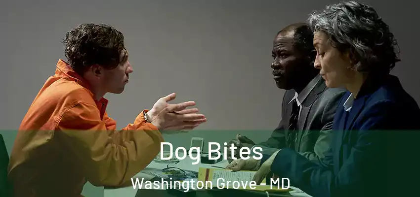 Dog Bites Washington Grove - MD
