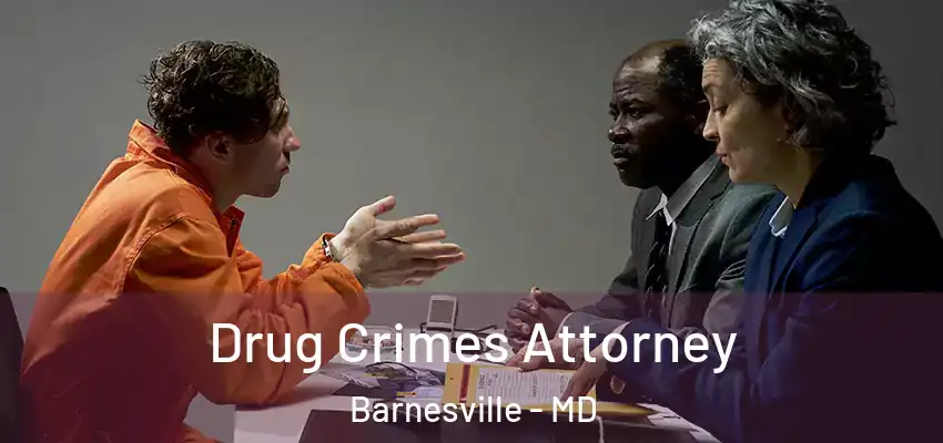  Drug Crimes Attorney Barnesville - MD