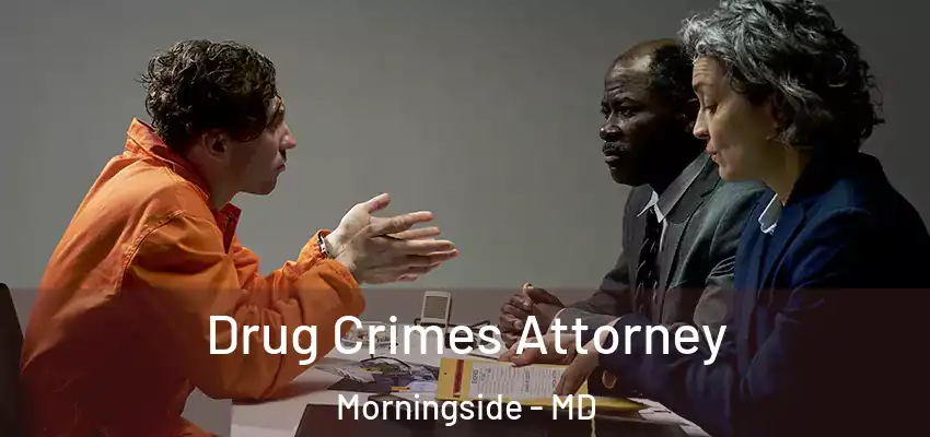  Drug Crimes Attorney Morningside - MD