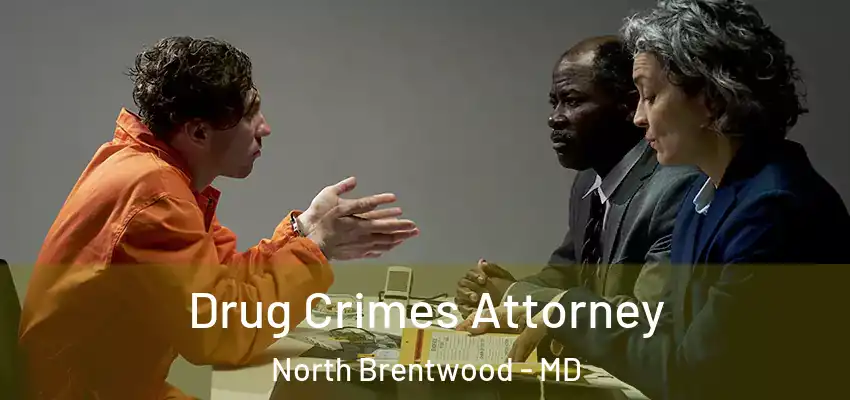 Drug Crimes Attorney North Brentwood - MD
