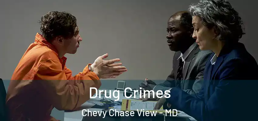 Drug Crimes Chevy Chase View - MD