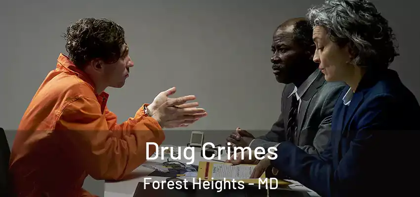 Drug Crimes Forest Heights - MD