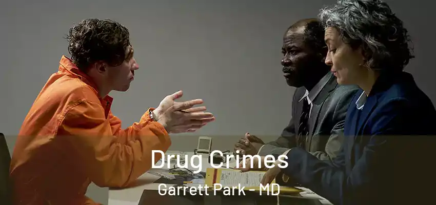 Drug Crimes Garrett Park - MD