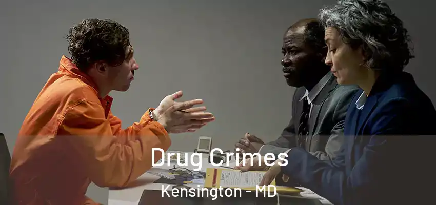 Drug Crimes Kensington - MD