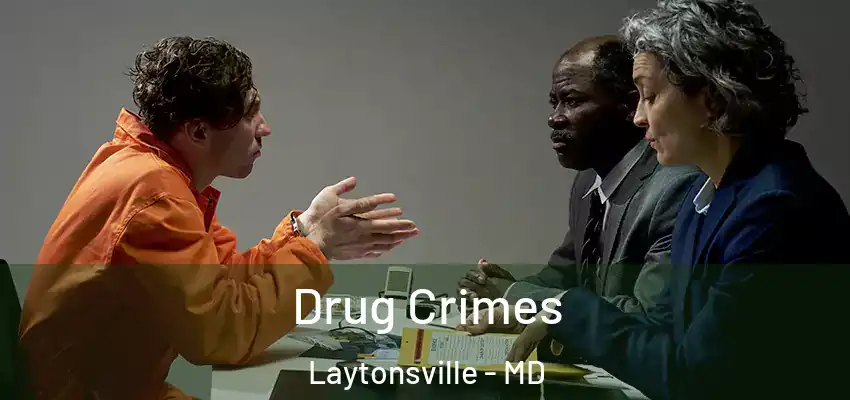 Drug Crimes Laytonsville - MD
