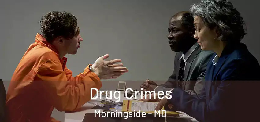 Drug Crimes Morningside - MD