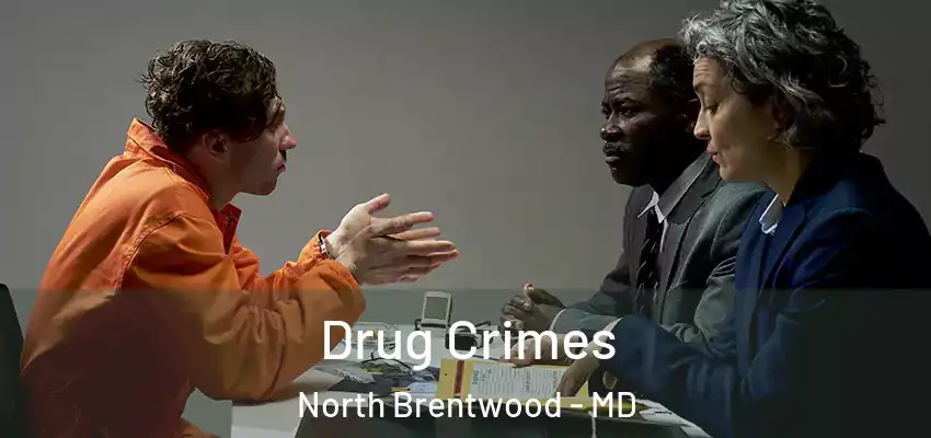 Drug Crimes North Brentwood - MD